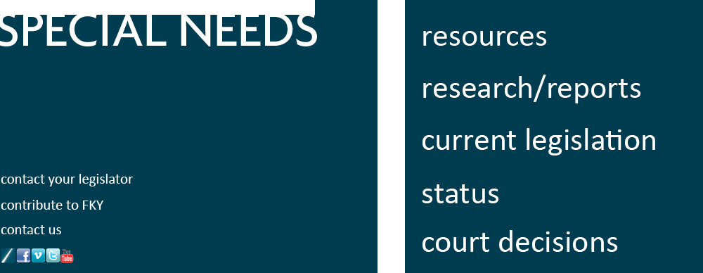 SpecialNeedsPortal.jpg